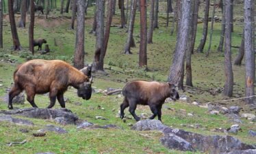 takin3sacred photo for commercial .sacred photo for commercial