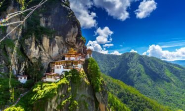 whatsapp image 2025 10 19 at 16.34.01 9d3876e7