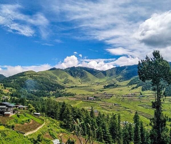visit phobjikha valley