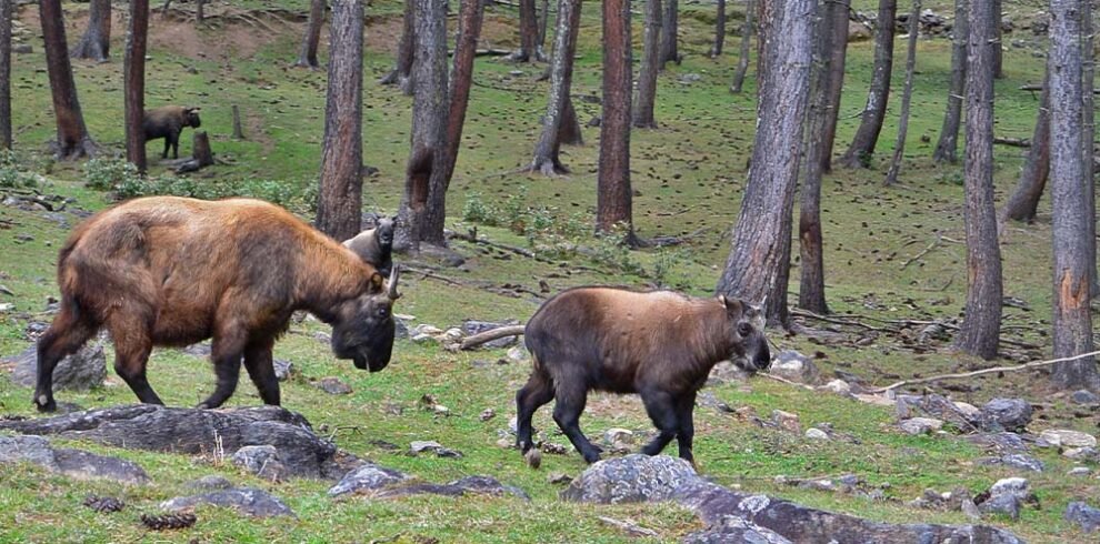 takin3sacred photo for commercial .sacred photo for commercial